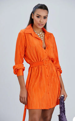 Penny Orange Pleated Belted Dress